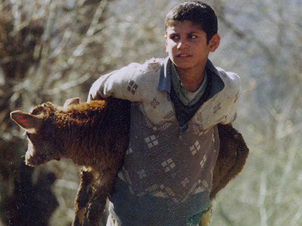 Mahdi Moniri