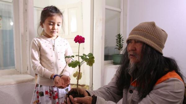 Denis Vaslin and Yuji Sadai and Altynai Koichumanova and Carine Chichkowsky and Fleur Knopperts
