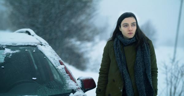 Snow and the Bear (Kar ve Ayı)