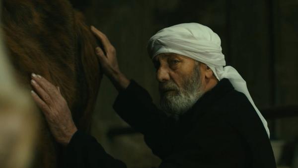 Ameer Fakher Eldin
